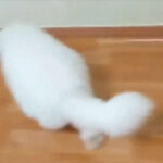 如何在lv国际官网上找到最新款式的包包 4a1gj7ag