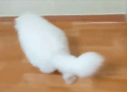 如何在lv国际官网上找到最新款式的包包