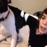 lv国际官网:如何辨别LV产品的真伪与质量 6nfw9v80m