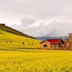 LV国际在国际时尚周的表现与反响 98ubxhpr