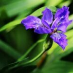 lv国际官网:奢侈品购物中的心理学与消费者行为 e5l0mp