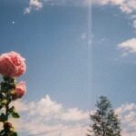 LV国际H5:让奢侈品与消费者更紧密连接 ncwh8f2r7p