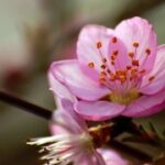 lv国际下载的支付方式及安全性详解 thtakm